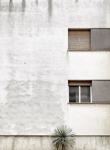 Douglas Moors - Loneliness