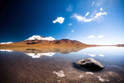 Fille Roelants / Weird Bolvia