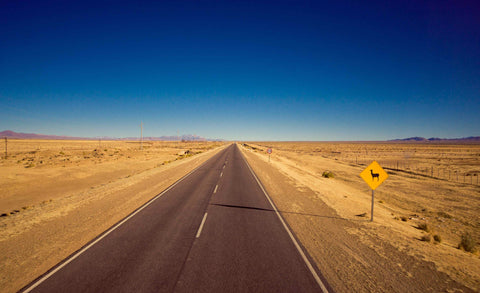 Fille Roelants / Lamas