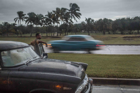 Fille Roelants / Trafico