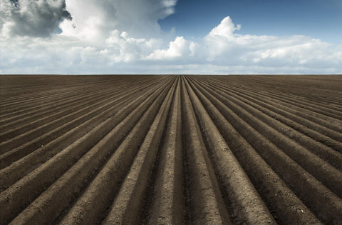 Gill Vloeberghs / Endless