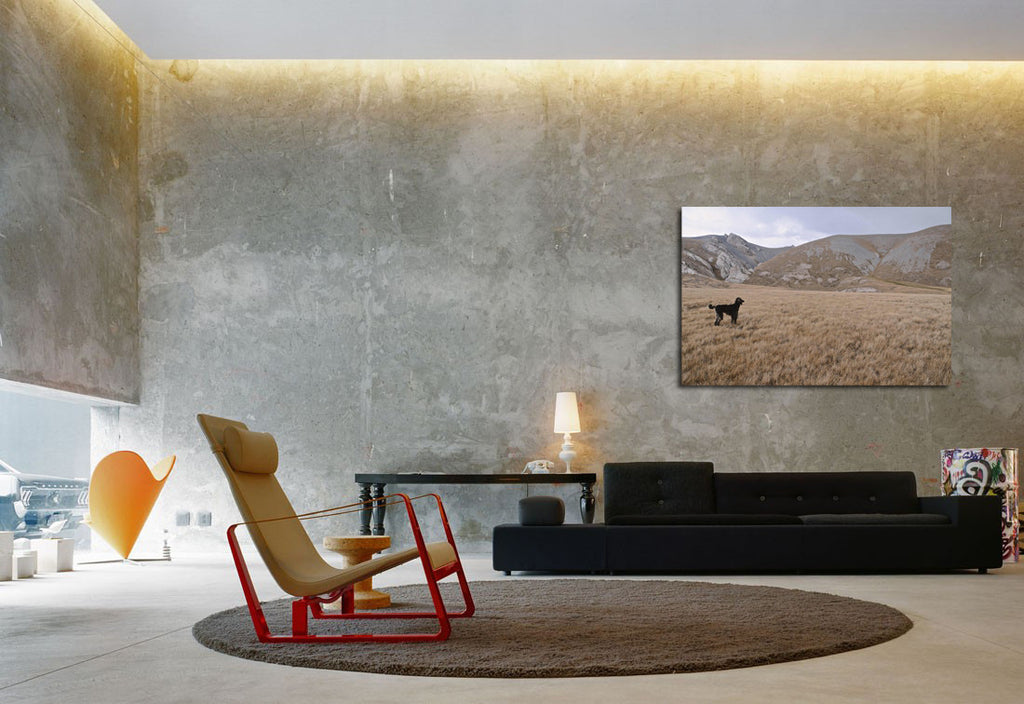 John Morgan Galeyn / Helper dog