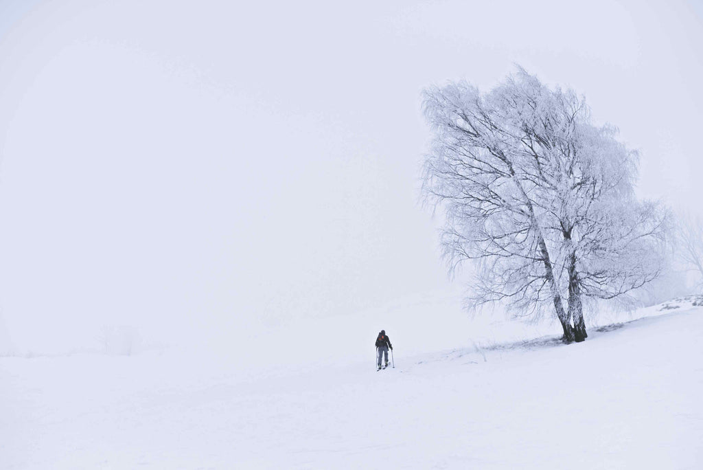 John Morgan Galeyn / Jack Frost