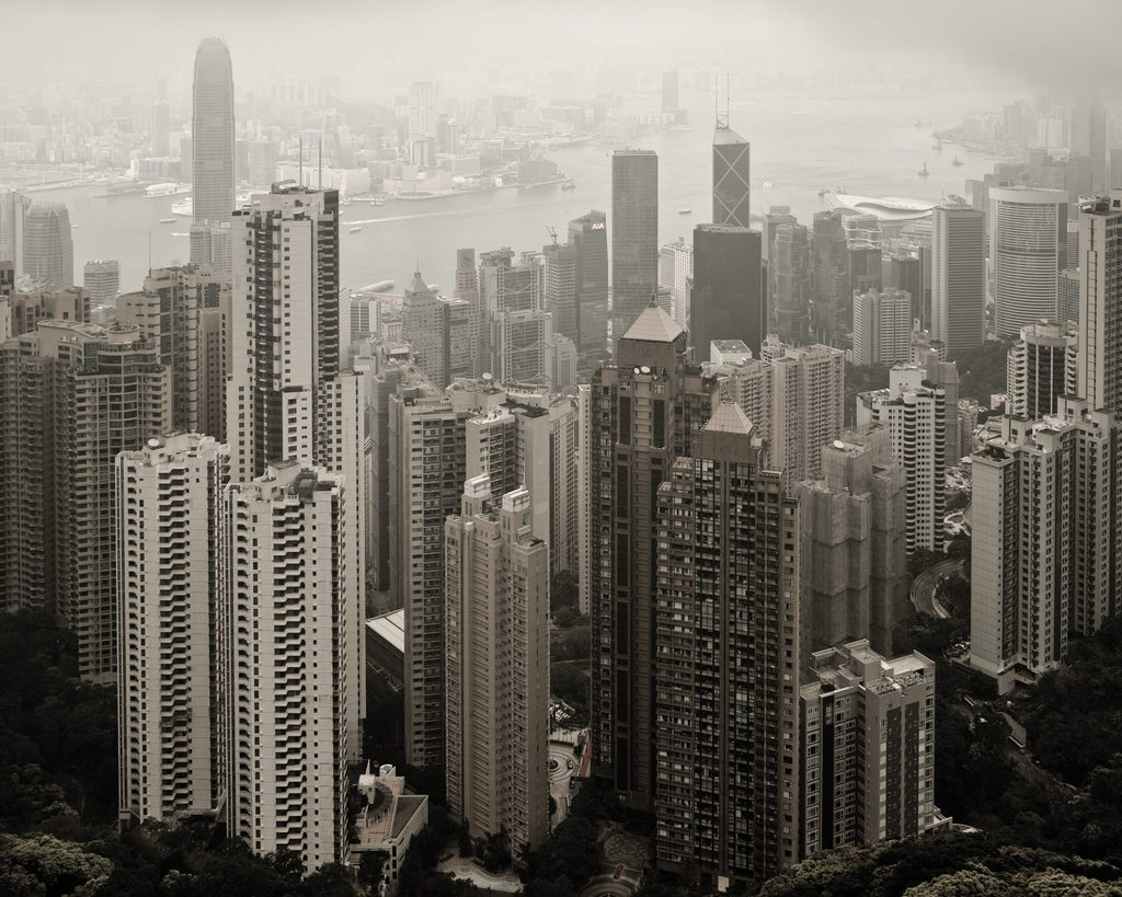 Thomas Koopmans / Hong Kong Jungle