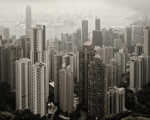Thomas Koopmans / Hong Kong Jungle