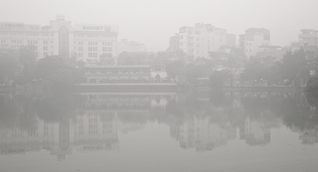 Thomas Koopmans / White City