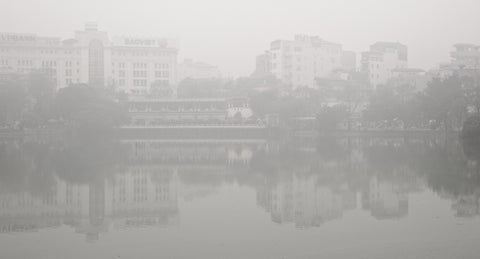 Thomas Koopmans / White City