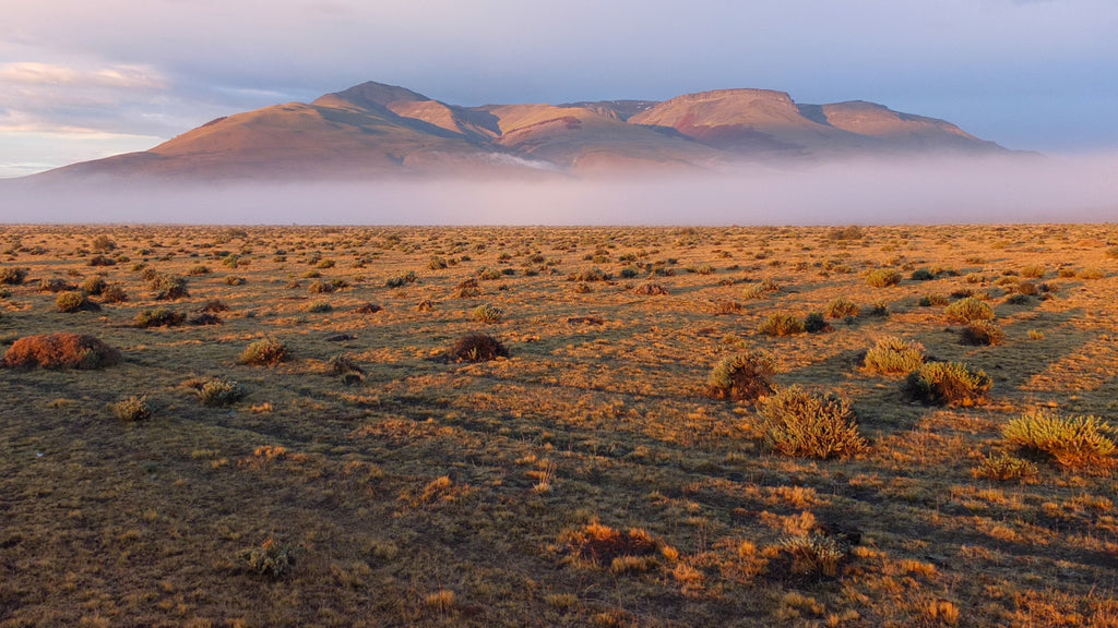 Virginie Breydel / Sunrise in the desert