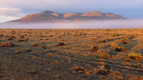 Virginie Breydel / Sunrise in the desert