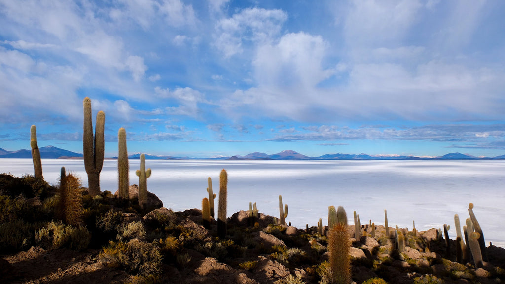 Virginie Breydel / Early morning in Patagonia
