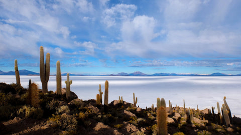 Virginie Breydel / Early morning in Patagonia