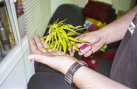 Iggy Smalls / On the Limits III