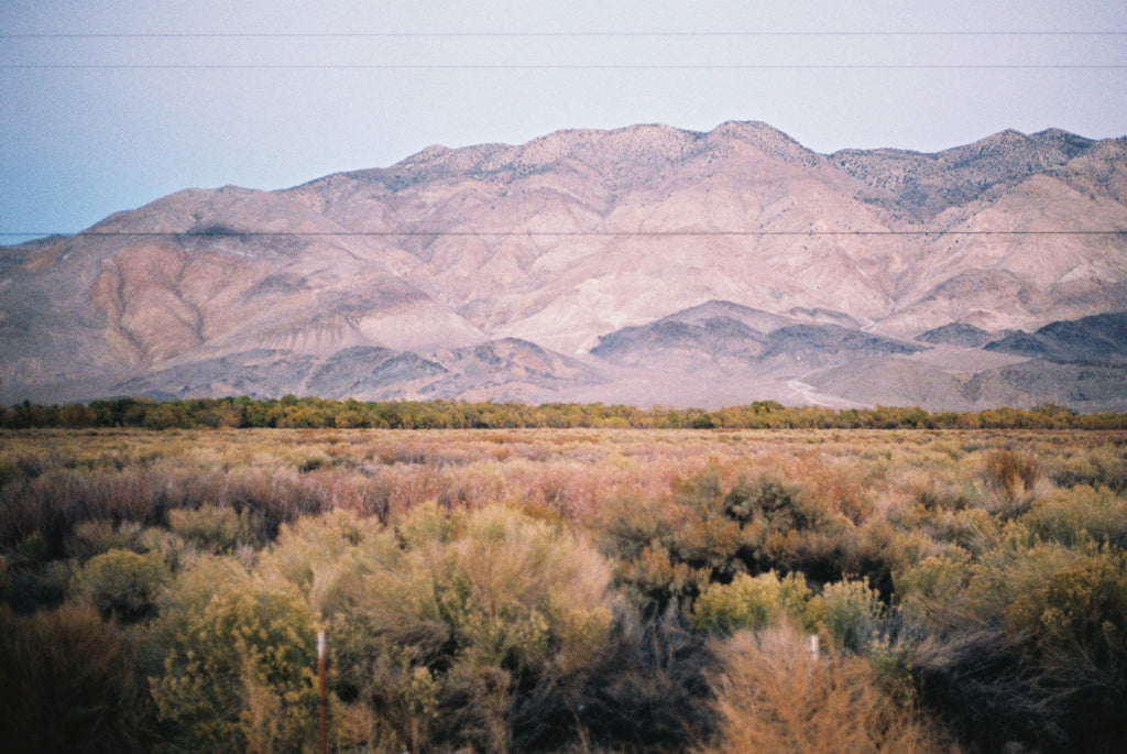 Tiny Geeroms / Lone Pine
