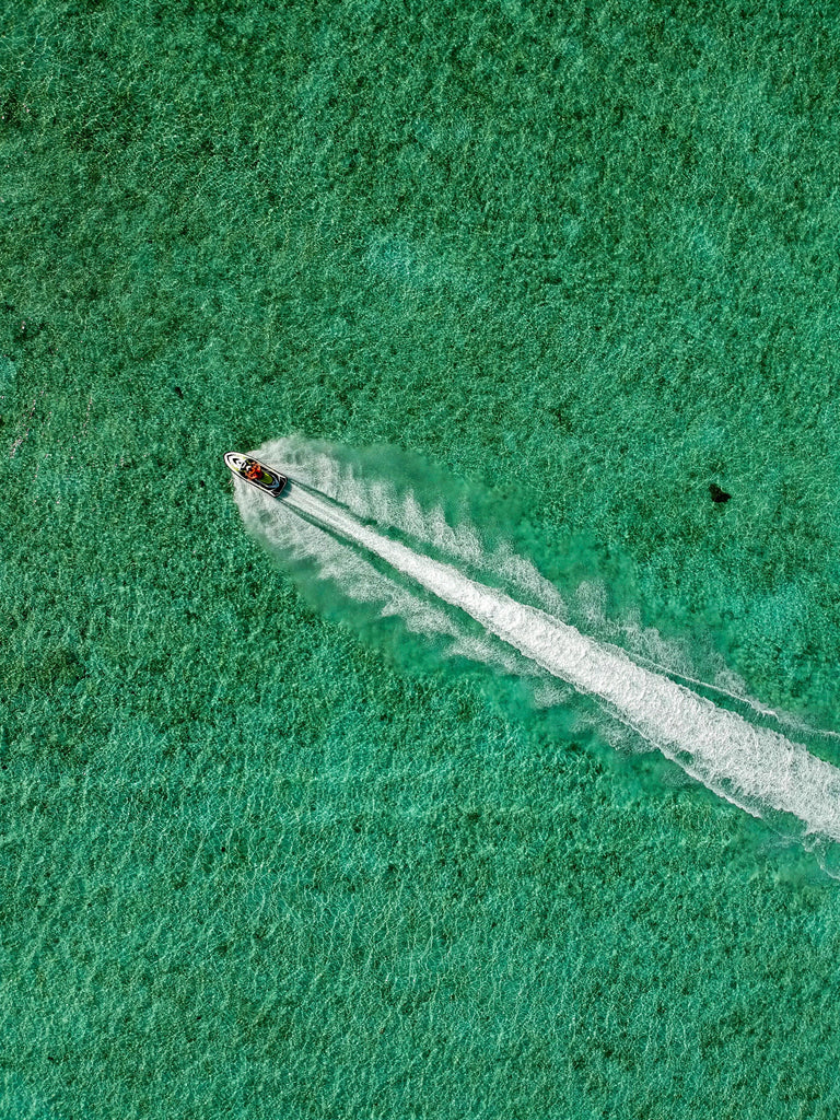 MTwalls selectie / Water Flight