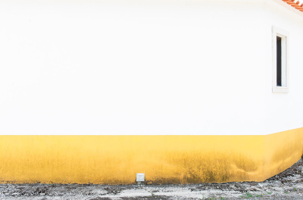 Tom Van De Putte / Line in the Dirt