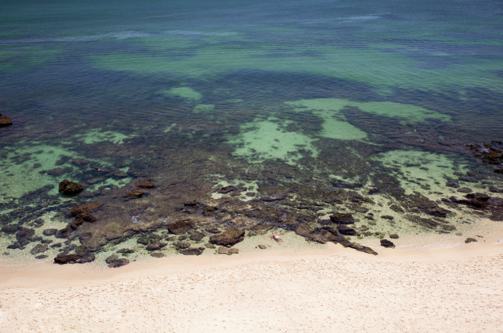 Yuri Andries / Promises of the Mind II