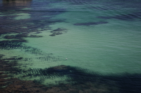 Yuri Andries / Promises of the Mind V