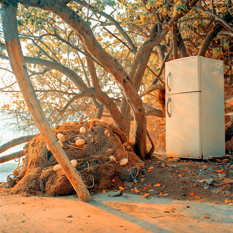 Iggy Smalls / Fridge on the Beach