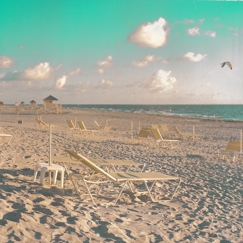 Iggy Smalls / Florida