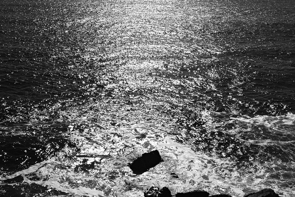 Nathalie Samain / Shine