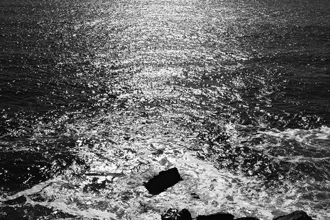 Nathalie Samain / Shine