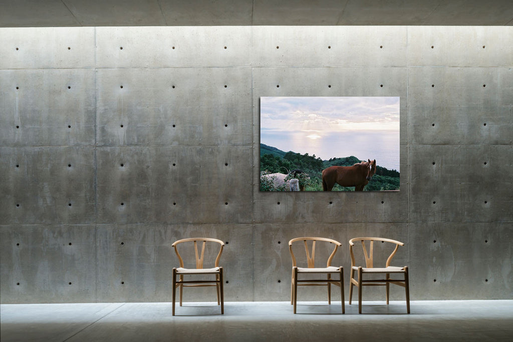 Nathalie Samain / Horses