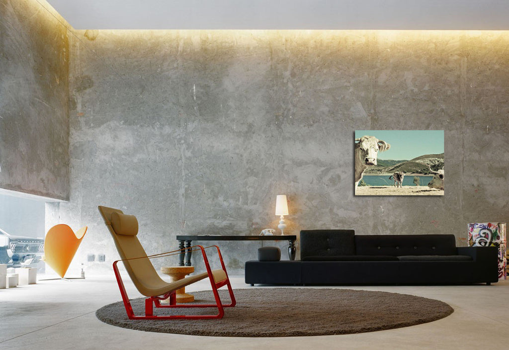 Thomas Koopmans / My Cows