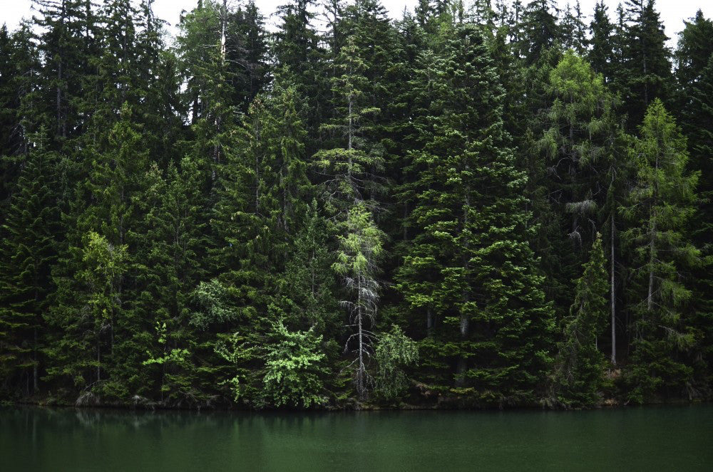 John Morgan Galeyn / Green Lake