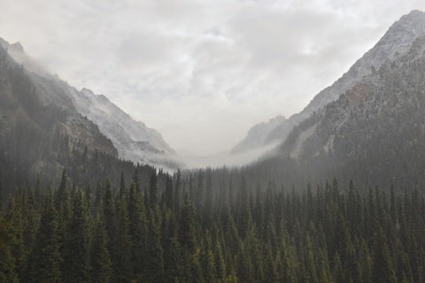 John Morgan Galeyn / After the Snow